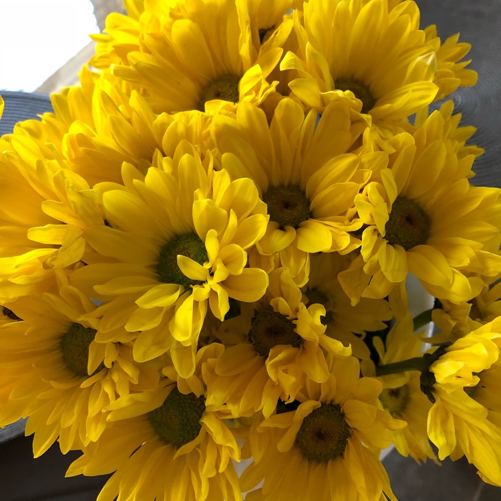 Meet your Posher, Veronica